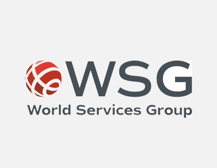  World Services Group 